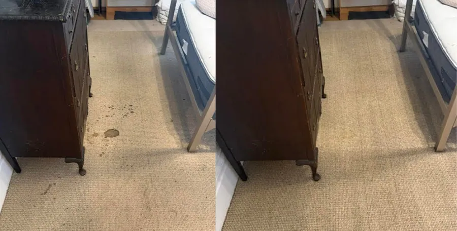 Bedroom carpet spot cleaning before and after in San Rafael