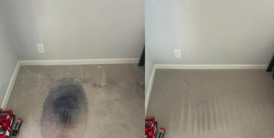 Dark carpet stain removal before and after across the Bay Area