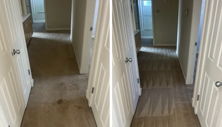 Entry hall carpet cleaning before and after across the Bay Area