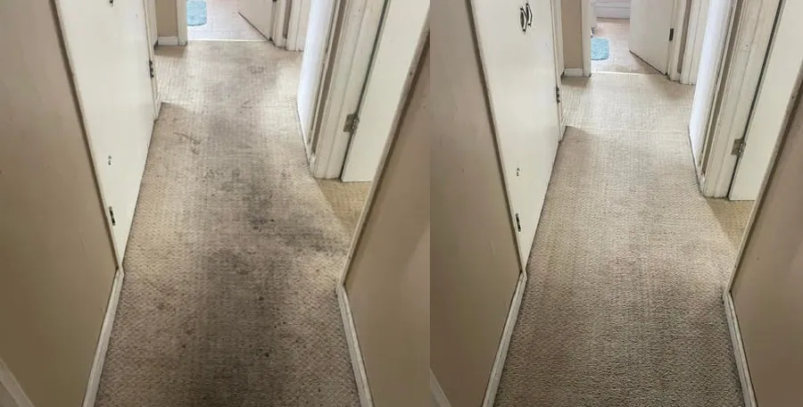 Hallway carpet restoration before and after in Danville