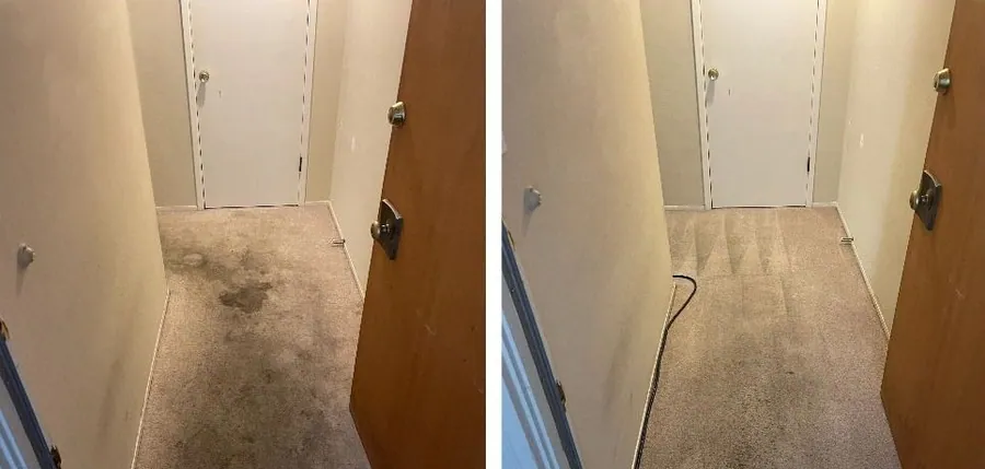 Hallway floor and carpet spot cleaning result across the Bay Area